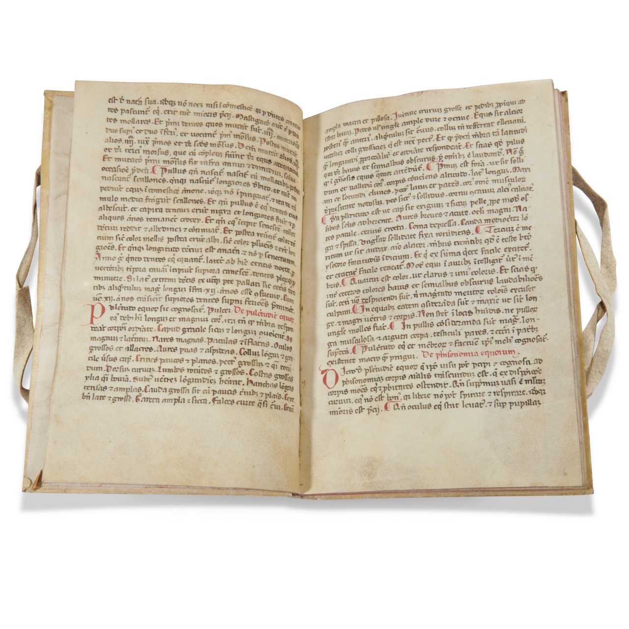 Theodoric Borgognoni (1205 - 1296) - photo 1